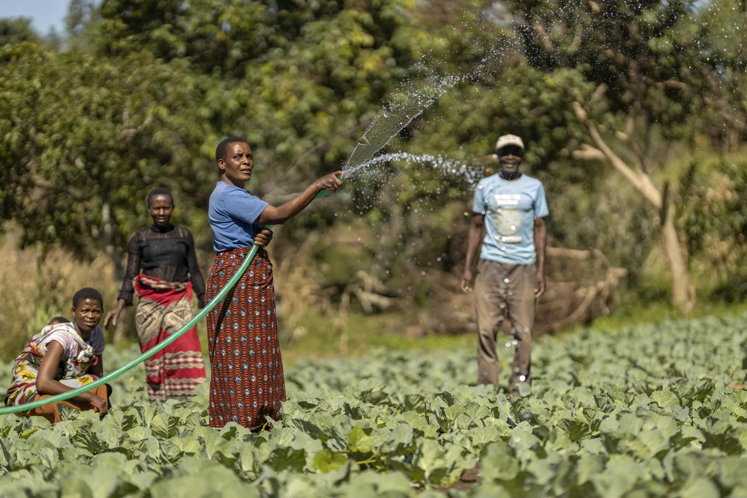 Livelihood resilience