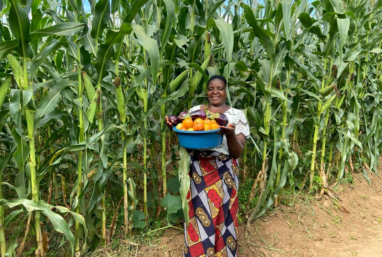 Livelihood improvement